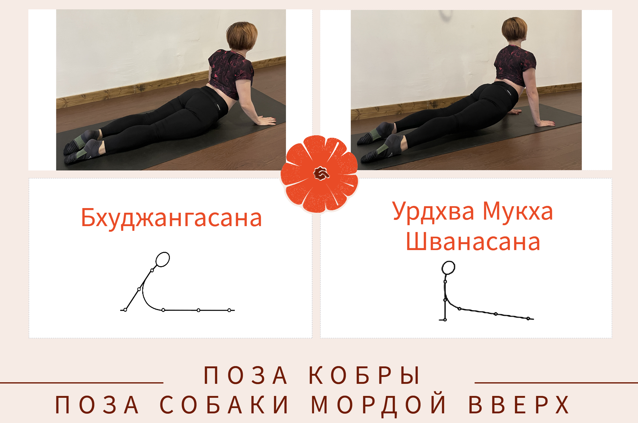 Разбираемся в нюансах асан: Бхуджангасана (поза кобры) и Урдхва Мукха Шванасана (поза собаки мордой вверх)