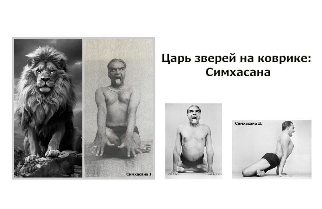 Simhasana1-2