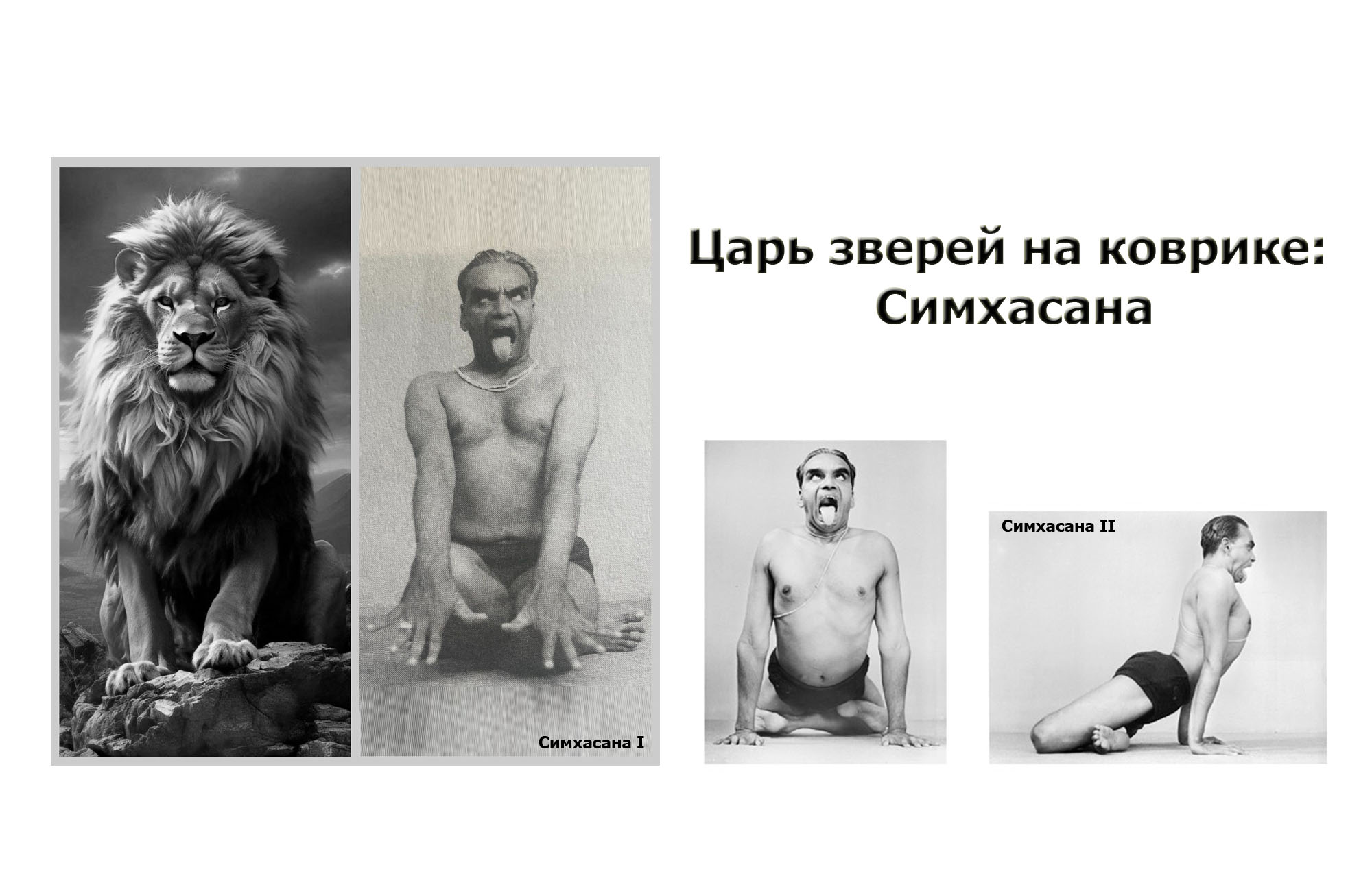 Царь зверей на коврике: Симхасана