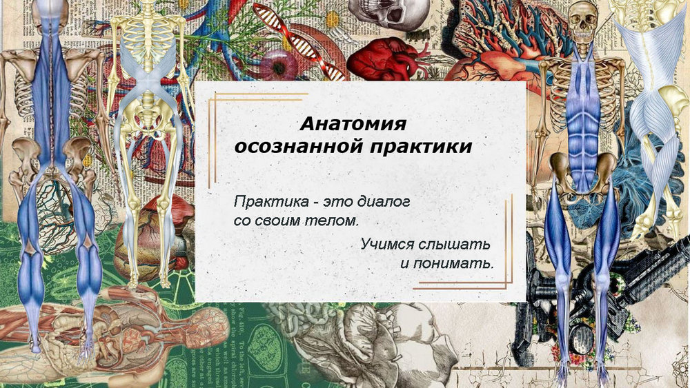 AnatomySite