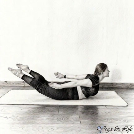 Shalobhasana